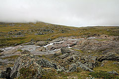 Árasjåhkå