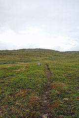 Alter Padjelantaleden