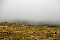 Zeltplatz am Viejejåhkå