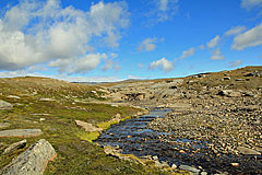 Zufluss zum See P1033