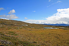 Am Berg P1180 entlang