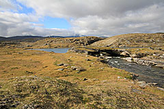 Naturbrücke am Råvejávrre