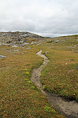 Bachlauf am See P929