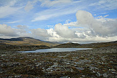 Kleiner See am Vistek