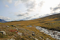 Nebenfluß des Gurájåhkå