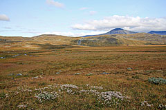 Blick Richtung Renvaktarstuga