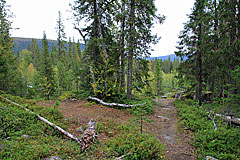 Brücke über Vállejåhkå