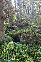 Tingstallstenen-Suche