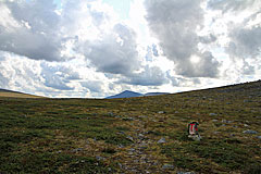 Am Jalggohas