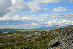 Gárasvuopmi