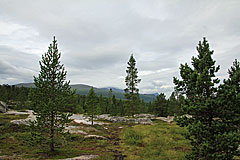 Felsen im Dividalen