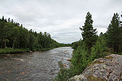 Divielva