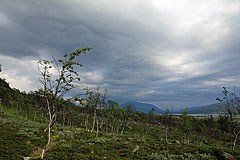 Regenwolken über dem Altevatnet