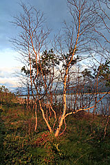 Sonnenuntergang am Altevatnet