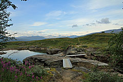 Brücke über Koievasselva
