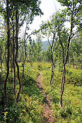 Abstieg zum Grensevatnan