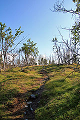 Auf den nächsten Hügel