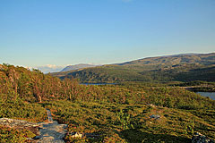 Báktájohkaluobbalat