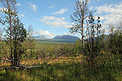 Lapporten