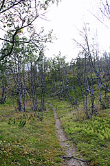 Wanderweg ins Gorsavággi
