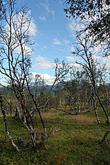 Lapporten