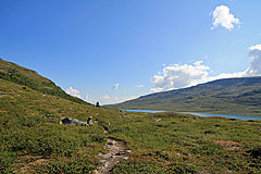 Am Vuolimus Gorsajávri