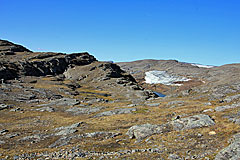 Harpasset mit Guoblačorru