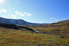 Heidekrautflächen am Gohpasjohka
