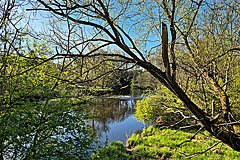 Örekilsälven