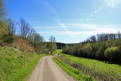 Lyckevägen