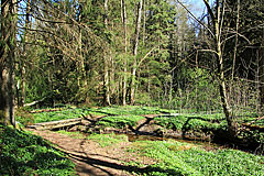 Am Munkedalsälven