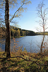 Am Viksjön