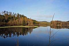 Morgenstimmung am Viksjön