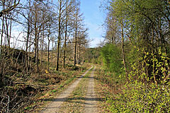 Fahrweg