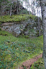 Bemooster Felsen