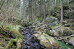 Staumauer