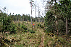 Auf schmalen Weg