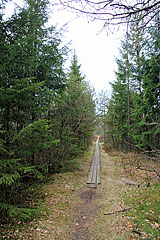 Havskuren