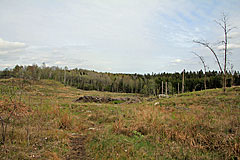 Richtung Ridhus