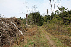 Feldweg
