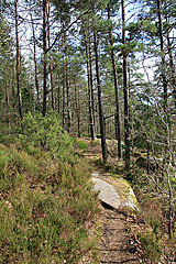 Am Stora Köperödssjön