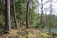 Am Stora Köperödssjön