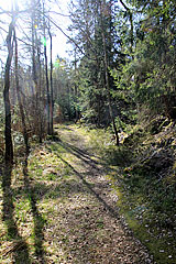 Weg bei Kasen