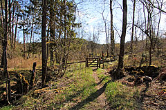 Bäveån nedre naturreservat