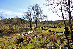 Bäveån nedre naturreservat