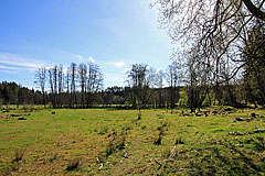 Bäveån nedre naturreservat