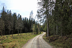 Ödegårdshagen