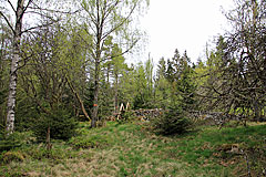 Bei Lindjärn