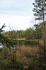 Duldevattnet