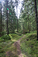 Hjälmhagen